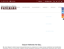 Tablet Screenshot of fazilkara.com